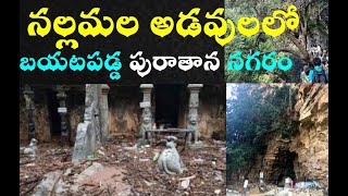 nallamala forest secrets saleshwaram shiva temples|Uma Maheswaram temple,srisailam,Nallamala Forest