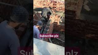 brick work #construction #youtubeshort #civilengineering #ytshorts