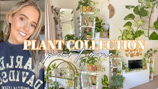 the BEST plants for your bedroom 🌿  PLANT TOUR/COLLECTION PART 1!