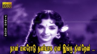 நான் மலரோடு தனியாக ஏன் இங்கு நின்றேன் பாடல் HD | ஜெய்ஷ்ங்கர், L. விஜயலக்ஷ்மி | இரு வல்லவர்கள்  .