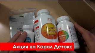 Акция на Корал Детокс