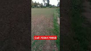 farm land for sale near bangalore #realestate #farmland #farmlandsforsale #plot #agriculturalland