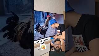 Rooster Cries #motivationalworld2030 #shorts