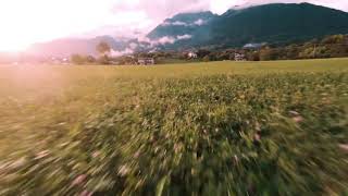 Drone slalom through the trees