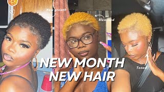 I Impulsively Bleached & Toned My Short Natural Twa Hair…AGAIN!😬