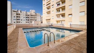 APARTAMENTO DE 1 DORMITORIO EN TORREVIEJA CON PISCINA COMUNITARIA