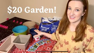 $20 Budget Dollar Tree Container Veggie Garden | 2022 Ep.1