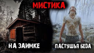 Мистические истории из жизни (2в1). На заимке. Пастушья беда.