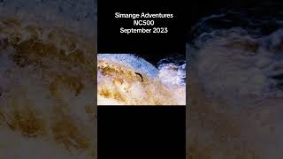 Simange Adventures Scotland NC500 September 2023 #nc500