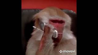 MovaviClips Video 3 mp4