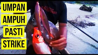 Mancing Pakai Umpan Paling Ampuh Untuk Bebagai Jenis Ikan Laut