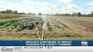 Farmers in Washington County continue to endure drought