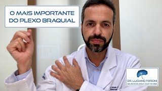 PRIORIDADES DA CIRURGIA DE PLEXO BRAQUIAL