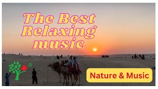 The Best Relaxing music, Meditation, beach, sea, Spa Music, Stress Relief #relaxing #meditation