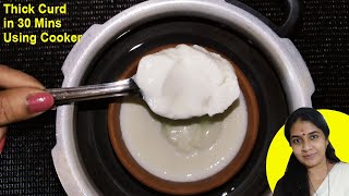 Thick Curd in 30 Minutes using Cooker | കുക്കർ ഉപയോഗിച്ച് 30 മിനിറ്റിനുള്ളിൽ കട്ടിയുള്ള തൈര് |