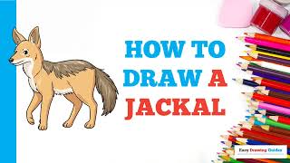 How to Draw a Jackal: Easy Step by Step Drawing Tutorial for Beginners