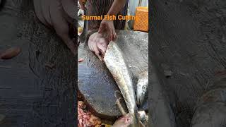 Surmai Fish Cutting #Sassoondockfishmarket #shorts #viral #youtubeshorts