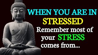 When You Are In Stressed | Always Remember These Powerful Quotes  | Buddha Quotes