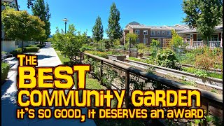 The BEST community garden I have ever seen.