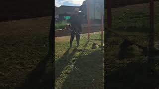 Cutting grass at school Ep032