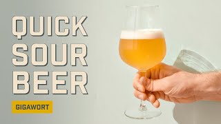 Brew a Quick Sour Beer | Gigawort | EP 1