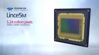 Teledyne e2v's Lince5M & Lince1M3 CMOS image sensors