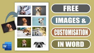 FREE images, pictures and photos for your documents and projects | EASY TUTORIAL