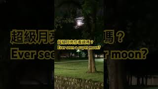 這是我今晚捕捉到的超級月亮，你曾經看過嗎？趕快來看看！The super moon tonight! Have you ever seen it? #月亮 #supermoon #台大 #馮輝文