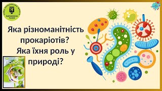 Різноманітність прокаріотів   Їхня роль у природі