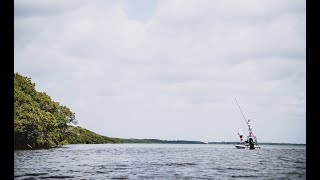 Once in a Lifetime - A chance to save the Everglades (Trailer)