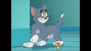 Tom and Jerry Tales - Game of Mouse and Cat (2007)