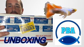 FISH UNBOXING - PB AQUATICS (Guppies, Angelfish and Endlers)