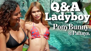 Q&A with Ponybunny Ladyboy in Pattaya