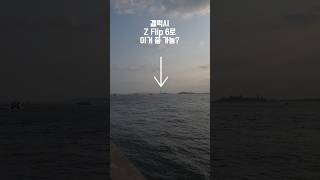 갤럭시 Z 플립6 줌 여기까지 가능??!! 50 메가픽셀 디지털줌 성능은? #GalaxyZFlip6Zoom