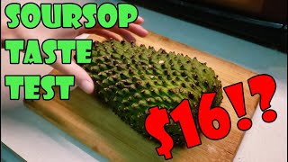 Soursop Taste Test! Did We Waste $16 Dollars!???