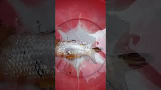 koye  fish death#viral my#video😭😭😭😭