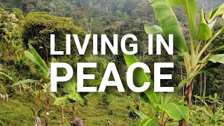 LIVING IN PEACE - Escaping the Madness