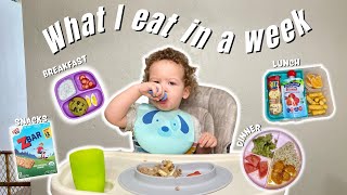 WHAT MY TODDLER EATS IN A WEEK| Breakfast, Lunch, Dinner|Toddler meal ideas + lunchbox ideas 🥞🍱🥑