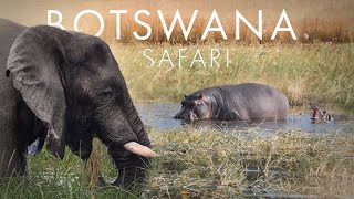 Privatflug über das Okavango Delta | Safari in Botswana 🇧🇼