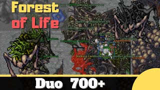 Forest of Life [Tibia Duo ED-EK 700+]