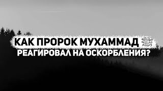 Как пророк МУХАММАД ﷺ реагировал на оскорбления? || Сирадж Абу Тальха