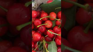 Sour cherry tree pancake topping syrup; Christmas ideas