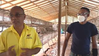 LARGE SCALE RABBIT FARMING IN JAMAICA