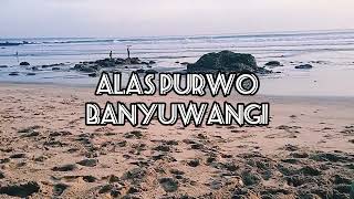 PANTAI PANCUR - ALAS PURWO BANYUWANGI