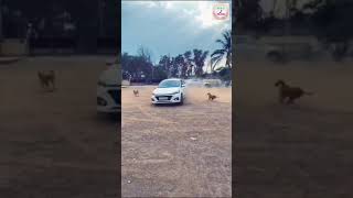 Hyundai i20 stunt lover short video|M.H.A TikTok #carstunt #i20stunt #carlover #shorts