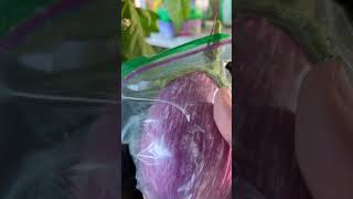 Brinjals #trending #garden #organicvegtables #youtubeshorts #youtubeislife