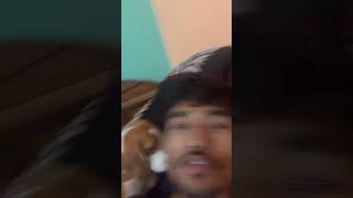 Sone Ke Liye Ladai 😡😡😡 || Beagle Angry Reaction || #shorts #beagle || @MrsPitbull