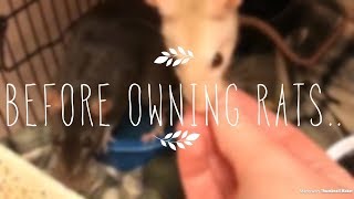 5 THINGS I WISH I KNEW BEFORE OWNING RATS🐁