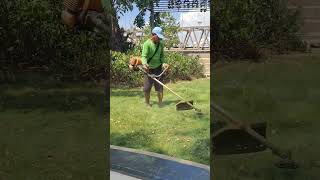 Cutting grass EP0179