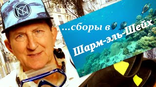 EXPRESS выпуск! Приобрел тур на рифы  Шарм-эль-Шейха! Что беру с собой в поездку!?